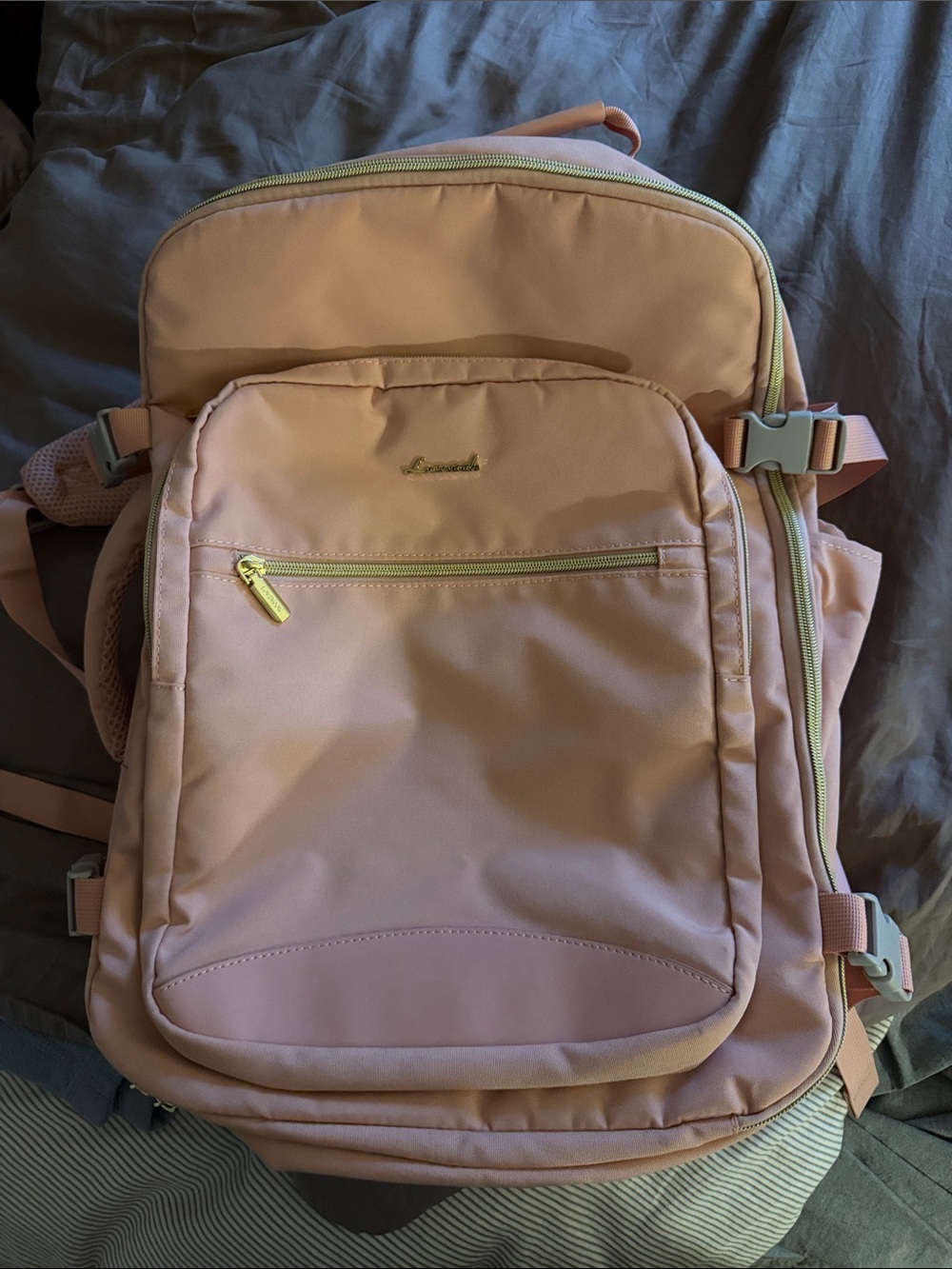 Lovenook Light Pink Travel Backpack with Gold Hardware